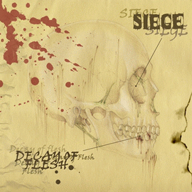 Siege (ITA) : Decay of Flesh